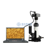 Kính hiển vi kim loại cầm tay cầm tay 100X - 400X