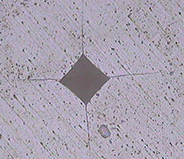 H&igrave;nh ảnh 31.