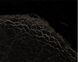 Kh&ocirc;ng c&oacute; ti&ecirc;u đề-5.