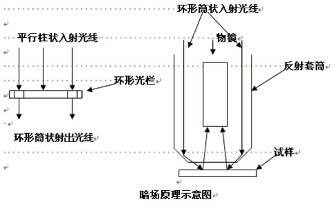 Kh&ocirc;ng c&oacute; ti&ecirc;u đề-4.